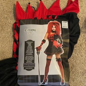 Ladies Jester costume. Jesterina. Size Medium. 9 piece set.